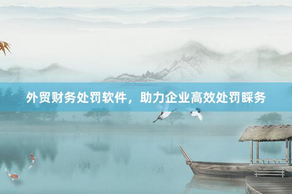 外贸财务处罚软件，助力企业高效处罚睬务