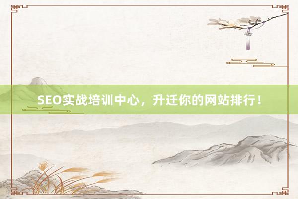 SEO实战培训中心，升迁你的网站排行！