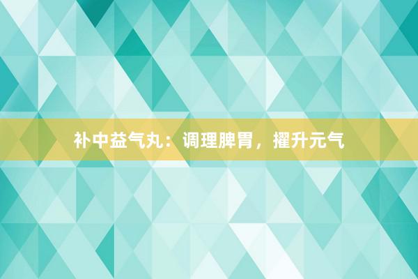 补中益气丸：调理脾胃，擢升元气